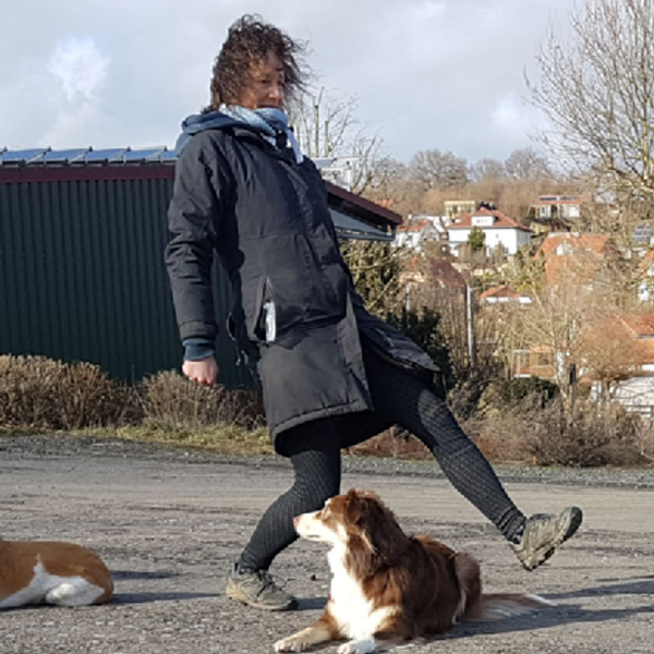 Hundeschule Göttingen Aufbautraining Hundeschule Göttingen Aufbautraining