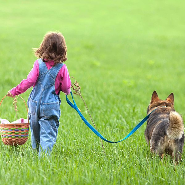 Hundeschule Göttingen Grunderziehung Hundeschule Göttingen Grunderziehung